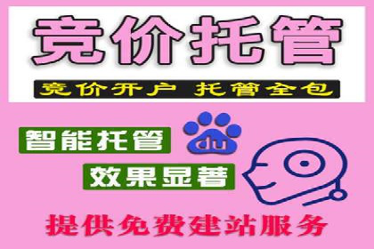案例解读：SEM广告投放的技巧与策略